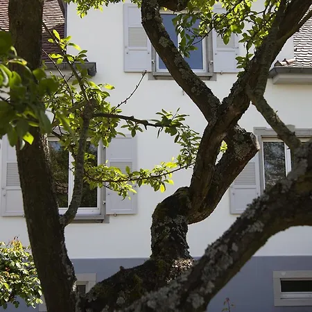 Guest house Le Duplex Du Louison - Ravissant 3P Proche Parlement Europeen - Parkings Strasbourg