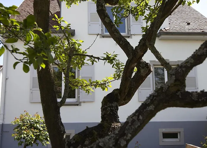 Gasthuis Ravissant 3p 90m2 Au Calme, Proche Du Parlement Europeen Straatsburg