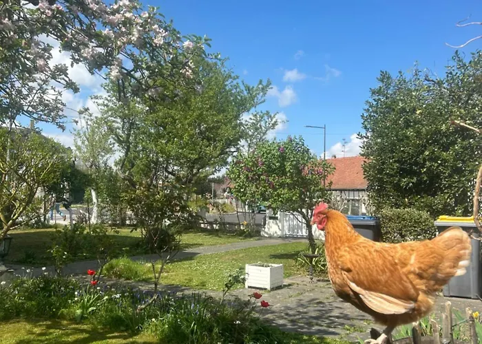 Gasthuis Ravissant 3p 90m2 Au Calme, Proche Du Parlement Europeen