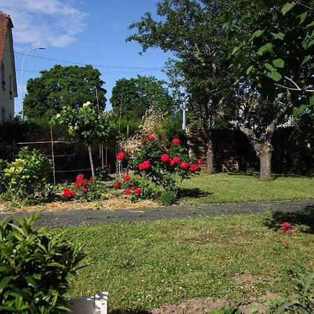 Ravissant 3p 90m2 Au Calme, Proche Du Parlement Europeen Gæstehus Strasbourg